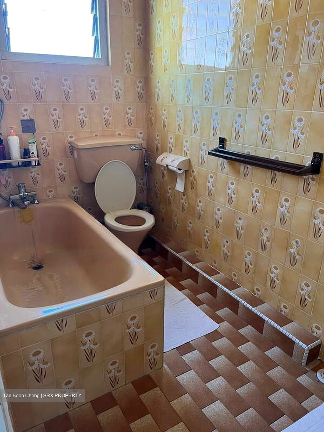 Lorong H Telok Kurau (D15), Terrace #464964751